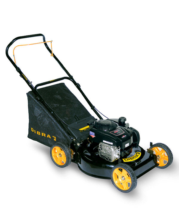 R65N