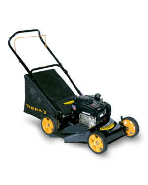R75N